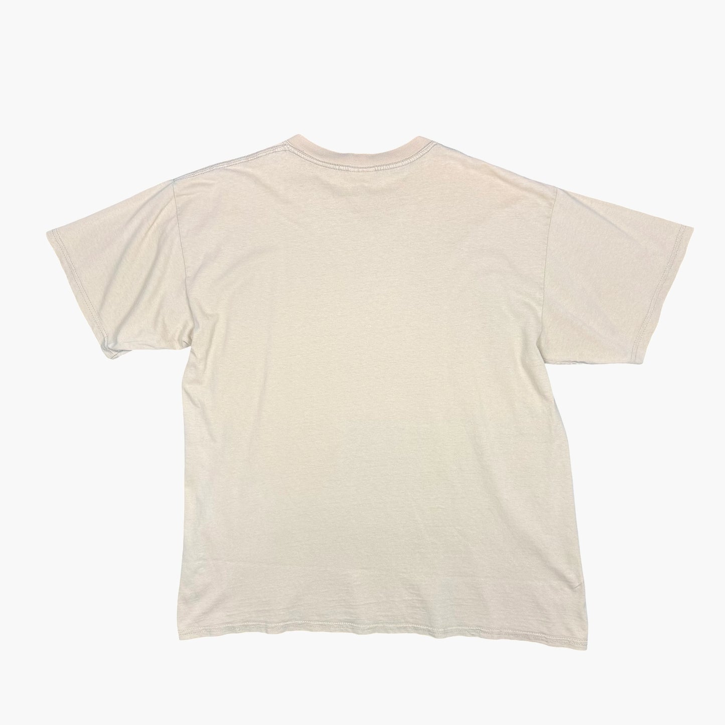 Vintage Gildan Heavy Cotton Graphic T-shirt | XL