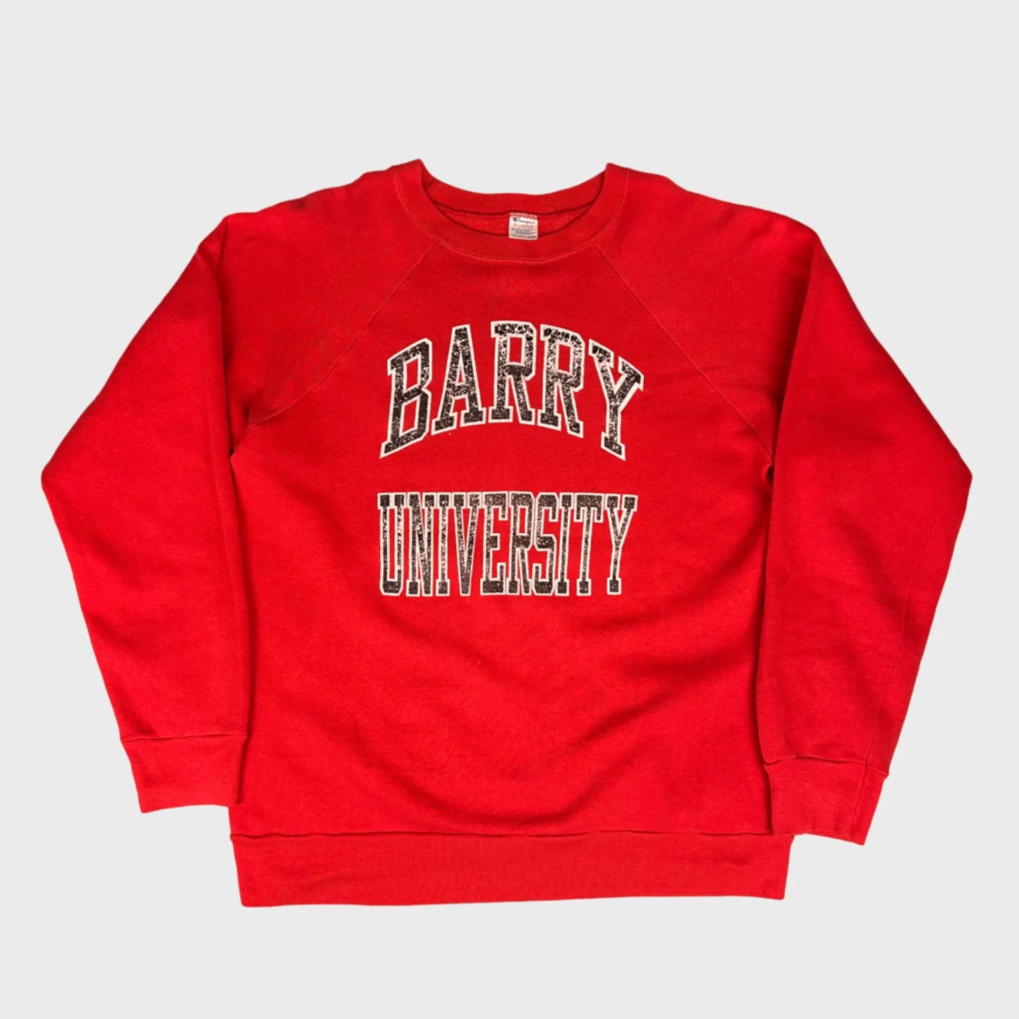 Vintage Champion Sweatshirt | XL